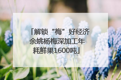 解锁“梅”好经济 余姚杨梅深加工年耗鲜果1600吨