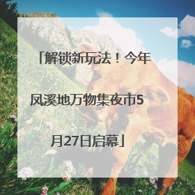 解锁新玩法！今年凤溪地万物集夜市5月27日启幕