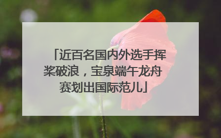近百名国内外选手挥桨破浪，宝泉端午龙舟赛划出国际范儿