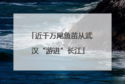 近千万尾鱼苗从武汉“游进”长江