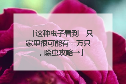 这种虫子看到一只家里很可能有一万只，除虫攻略→