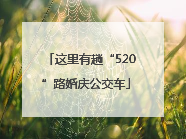 这里有趟“520”路婚庆公交车