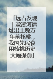 远古发现｜濛溪河遗址出土数万年前核桃，我国先民食用核桃历史大幅提前