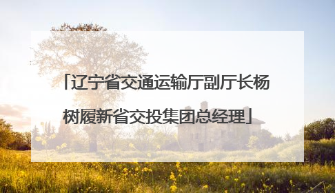 辽宁省交通运输厅副厅长杨树履新省交投集团总经理