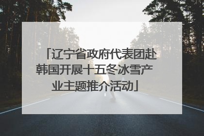 辽宁省政府代表团赴韩国开展十五冬冰雪产业主题推介活动