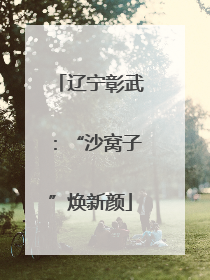 辽宁彰武：“沙窝子”焕新颜