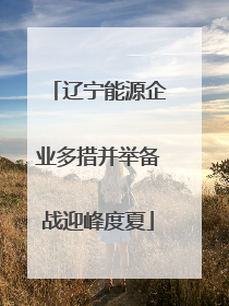 辽宁能源企业多措并举备战迎峰度夏