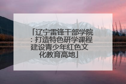 辽宁雷锋干部学院：打造特色研学课程 建设青少年红色文化教育高地