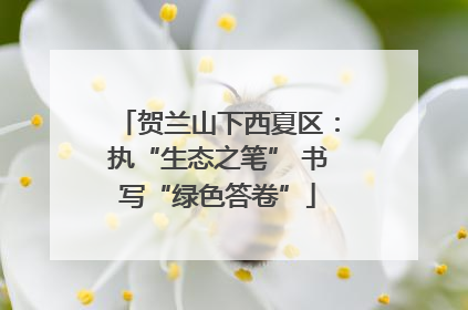 贺兰山下西夏区：执“生态之笔” 书写“绿色答卷”