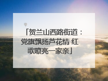 贺兰山西路街道：党旗飘扬芦花情 红歌嘹亮一家亲