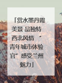 赏水墨丹霞美景 品独特西北风情 “青年城市体验官”感受兰州魅力