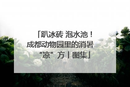 趴冰砖 泡水池！成都动物园里的消暑“凉”方丨图集
