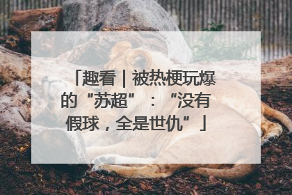 趣看｜被热梗玩爆的“苏超”：“没有假球，全是世仇”
