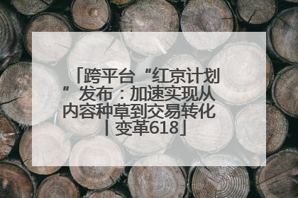 跨平台“红京计划”发布：加速实现从内容种草到交易转化丨变革618