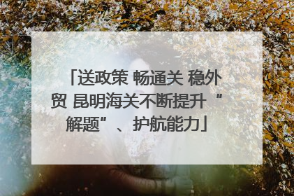送政策 畅通关 稳外贸 昆明海关不断提升“解题”、护航能力