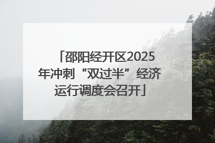 邵阳经开区2025年冲刺“双过半”经济运行调度会召开