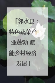 邻水县：特色蔬菜产业蓬勃 赋能乡村经济发展