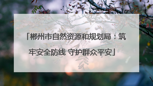 郴州市自然资源和规划局：筑牢安全防线 守护群众平安