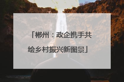 郴州：政企携手共绘乡村振兴新图景