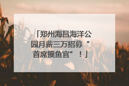 郑州海昌海洋公园月薪三万招募“首席摸鱼官”！