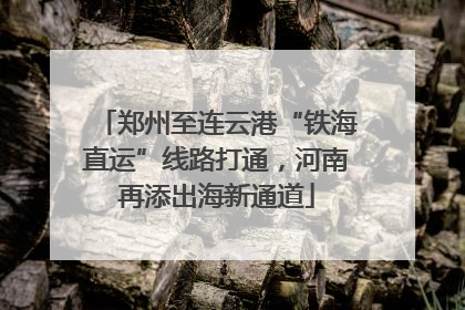 郑州至连云港“铁海直运”线路打通，河南再添出海新通道
