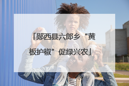郧西县六郎乡“黄板护椒”促绿兴农