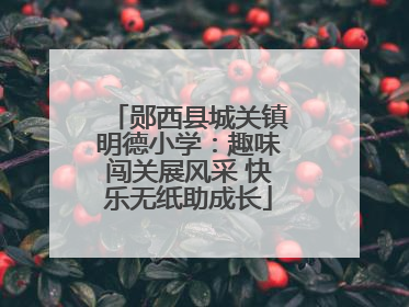 郧西县城关镇明德小学：趣味闯关展风采 快乐无纸助成长