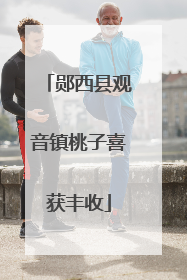 郧西县观音镇桃子喜获丰收