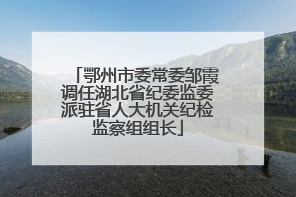 鄂州市委常委邹霞调任湖北省纪委监委派驻省人大机关纪检监察组组长