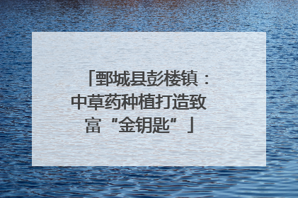 鄄城县彭楼镇：中草药种植打造致富“金钥匙”