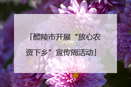 醴陵市开展“放心农资下乡”宣传周活动