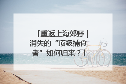重返上海郊野｜消失的“顶级捕食者”如何归来？