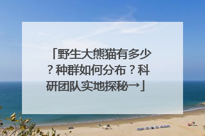 野生大熊猫有多少？种群如何分布？科研团队实地探秘→