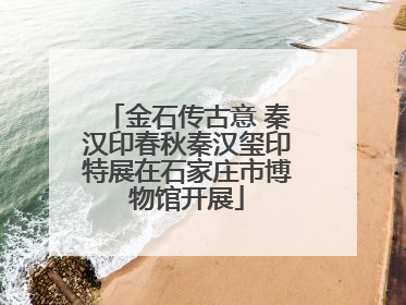 金石传古意 秦汉印春秋秦汉玺印特展在石家庄市博物馆开展