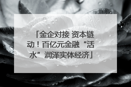 金企对接 资本链动！百亿元金融“活水”润泽实体经济