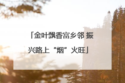 金叶飘香富乡邻 振兴路上“烟”火旺
