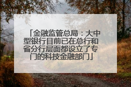 金融监管总局：大中型银行目前已在总行和省分行层面都设立了专门的科技金融部门