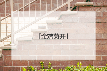 金鸡菊开