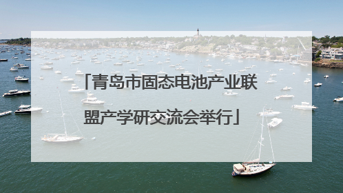 青岛市固态电池产业联盟产学研交流会举行