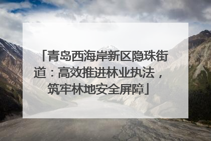 青岛西海岸新区隐珠街道：高效推进林业执法，筑牢林地安全屏障