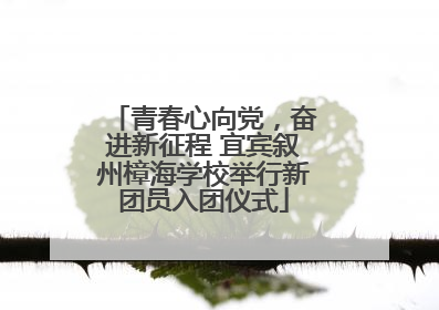 青春心向党，奋进新征程 宜宾叙州樟海学校举行新团员入团仪式