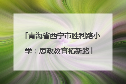 青海省西宁市胜利路小学：思政教育拓新路