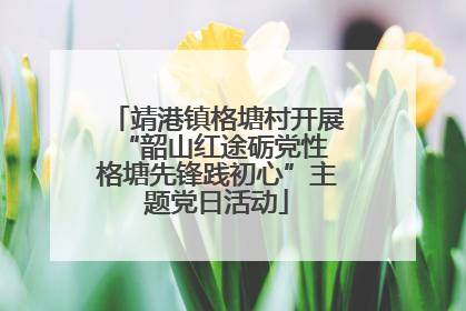 靖港镇格塘村开展“韶山红途砺党性 格塘先锋践初心”主题党日活动