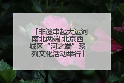 非遗串起大运河南北两端 北京西城区“河之端”系列文化活动举行