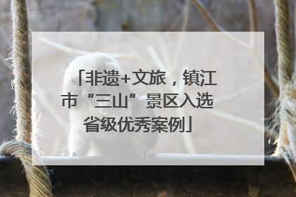 非遗+文旅，镇江市“三山”景区入选省级优秀案例
