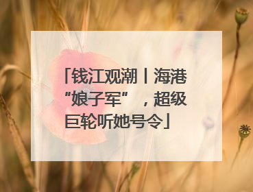 钱江观潮丨海港“娘子军”，超级巨轮听她号令