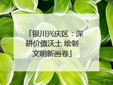 银川兴庆区：深耕价值沃土 绘制文明新画卷