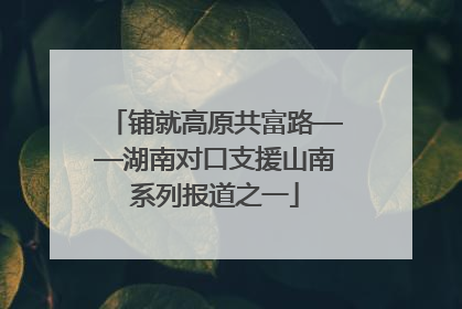 铺就高原共富路——湖南对口支援山南系列报道之一
