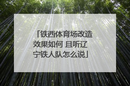 铁西体育场改造效果如何 且听辽宁铁人队怎么说
