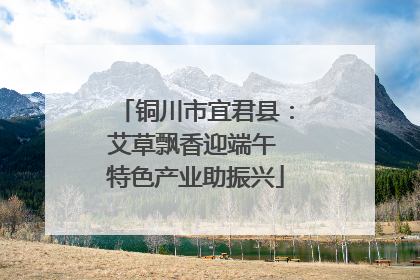 铜川市宜君县：艾草飘香迎端午 特色产业助振兴
